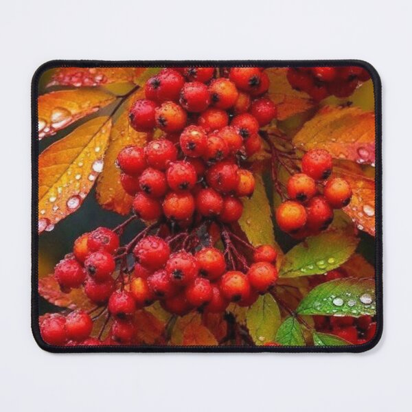 Item preview, Red Rowan Berries in Raindrops — Autumn Harvest Botanical Photography designed and sold by LYAN-STORE.