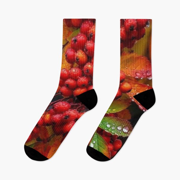 Item preview, Bayas de serbal rojo en gotas de lluvia: fotografía botánica de la cosecha de otoño. designed and sold by LYAN-STORE.