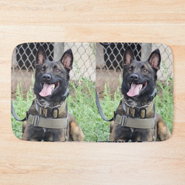 Item preview, Smiling Belgian Malinois Working Dog Photo designed and sold by VanGaldo.