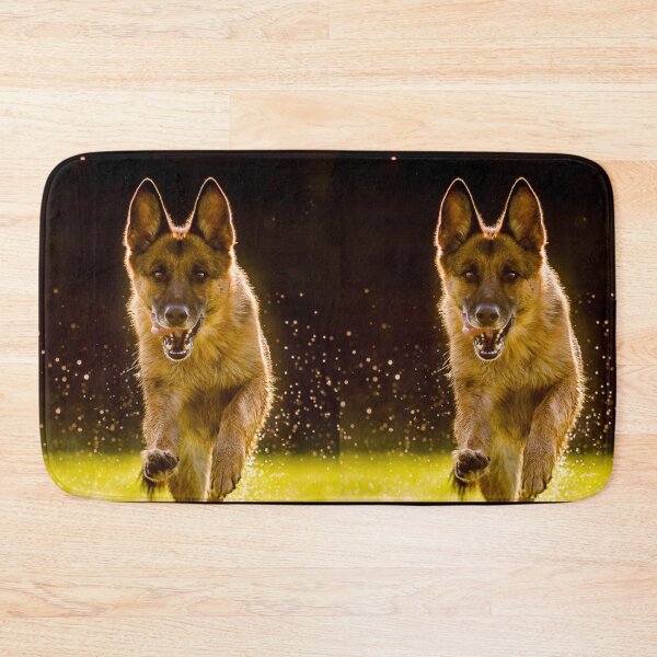 Item preview, Belgian Malinois Backlit Action Portrait Print designed and sold by VanGaldo.