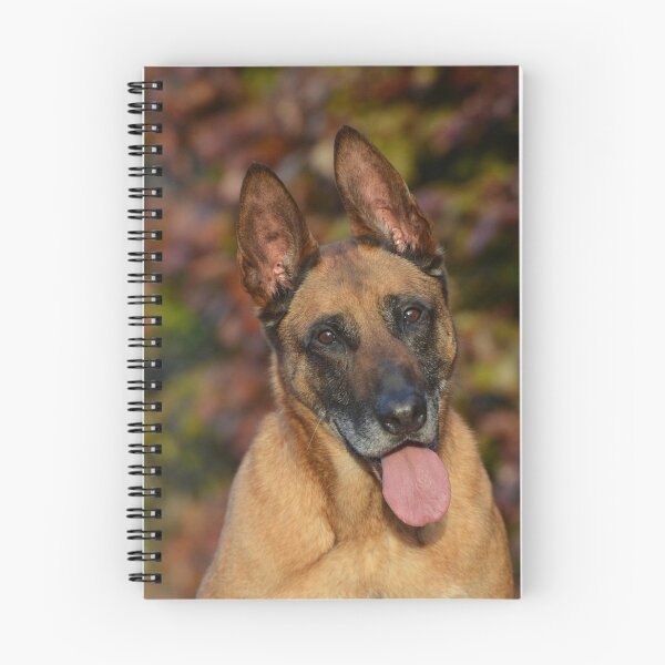 Item preview, Happy Belgian Malinois In Autumn Forest designed and sold by VanGaldo.