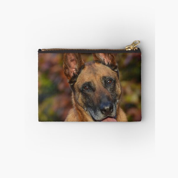 Artikelvorschau, Glücklicher Belgischer Schäferhund im Herbstwald entworfen und verkauft von VanGaldo.