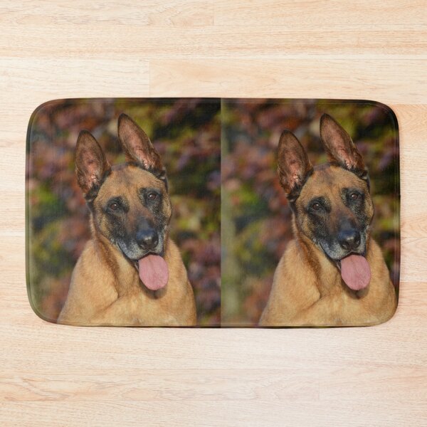 Item preview, Happy Belgian Malinois In Autumn Forest designed and sold by VanGaldo.