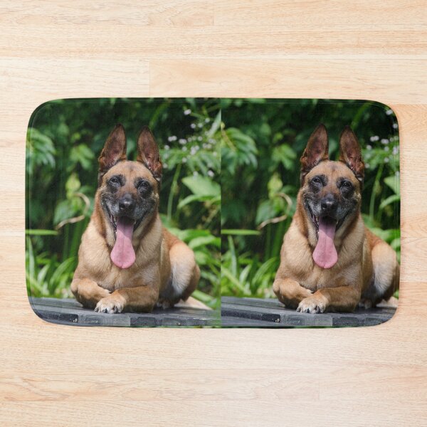 Item preview, Happy Belgian Malinois Tongue Out Photo designed and sold by VanGaldo.