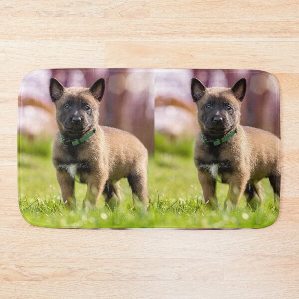 Item preview, Cute Belgian Malinois Puppy Standing Outdoor designed and sold by VanGaldo.