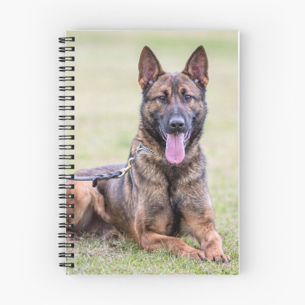 Item preview, Cute Belgian Malinois Tongue Out Photo designed and sold by VanGaldo.
