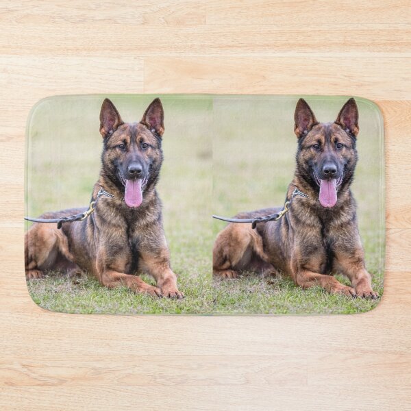 Item preview, Cute Belgian Malinois Tongue Out Photo designed and sold by VanGaldo.