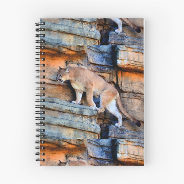 Item preview, Puma en las rocas designed and sold by Savannah Gibbs.
