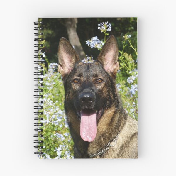 Item preview, Smiling Belgian Malinois Flower Bush Portrait designed and sold by VanGaldo.