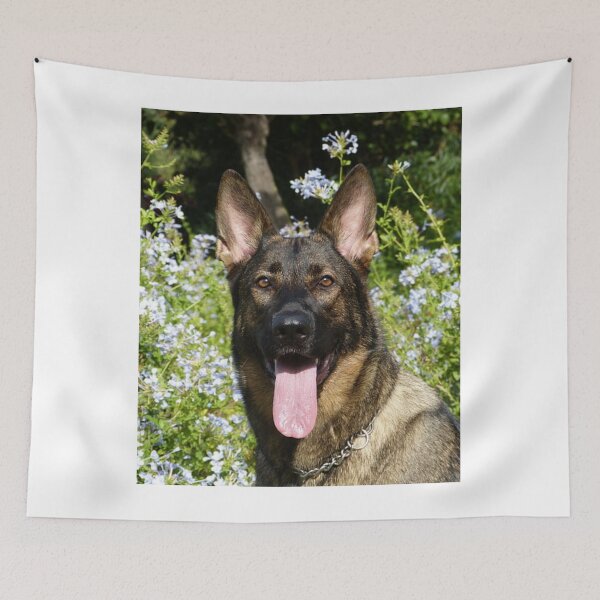 Item preview, Smiling Belgian Malinois Flower Bush Portrait designed and sold by VanGaldo.