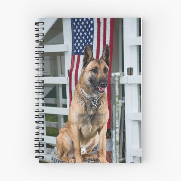 Item preview, Belgian Malinois With American Flag Portrait designed and sold by VanGaldo.