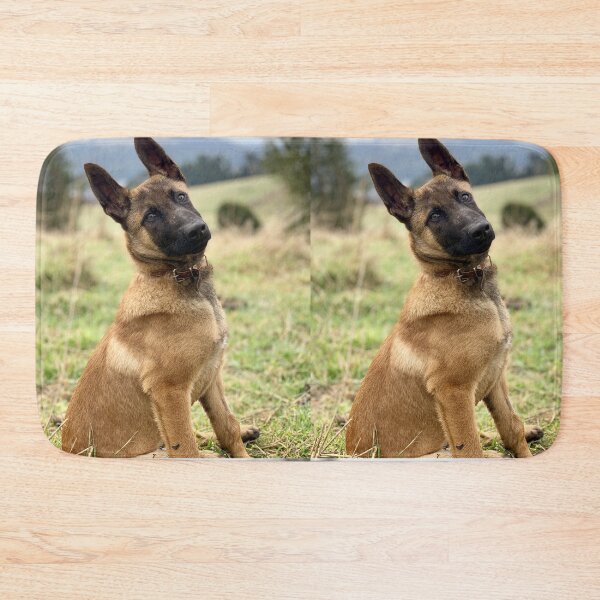 Item preview, Belgian Malinois Puppy Head Tilt Portrait designed and sold by VanGaldo.