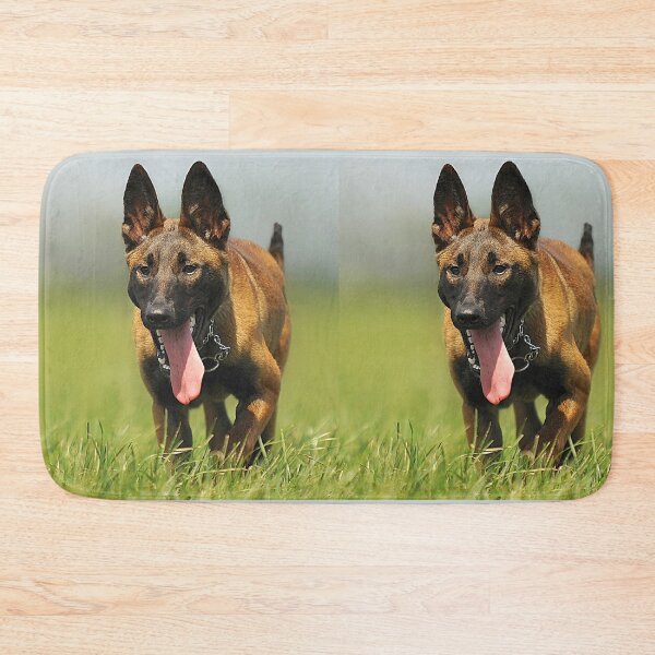 Item preview, Running Belgian Malinois Tongue Out Portrait designed and sold by VanGaldo.