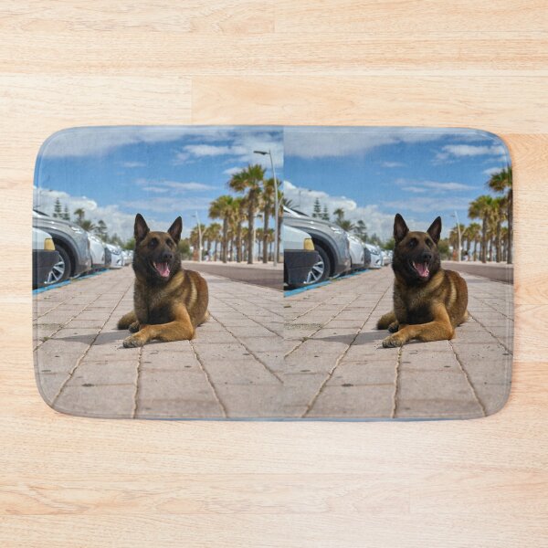 Item preview, Belgian Malinois Lying On City Sidewalk designed and sold by VanGaldo.