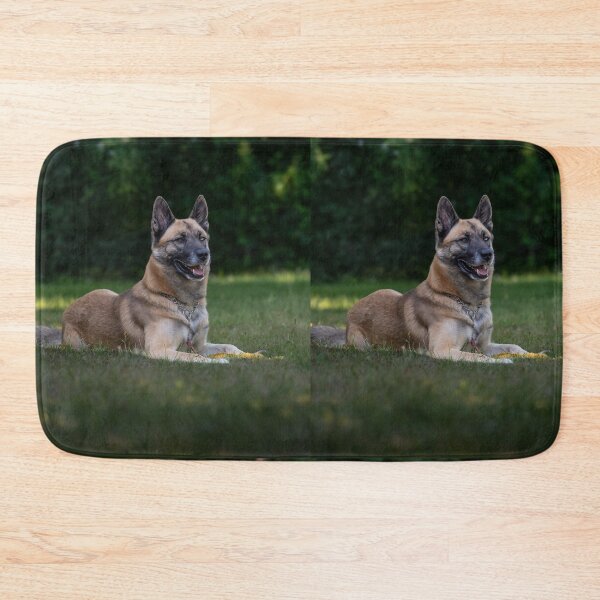 Item preview, Belgian Malinois Dog Lying In Grass designed and sold by VanGaldo.