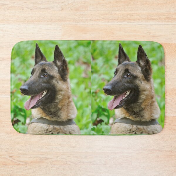 Item preview, Smiling Belgian Malinois Face Close Up designed and sold by VanGaldo.