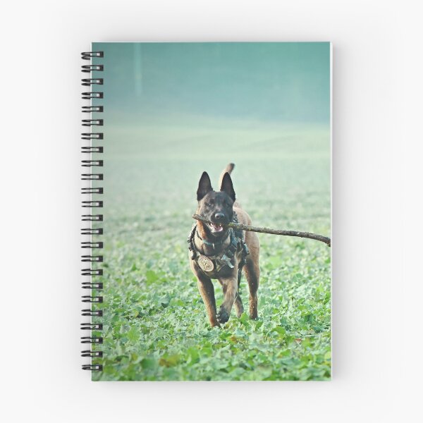 Item preview, Belgian Malinois Running With Big Stick designed and sold by VanGaldo.