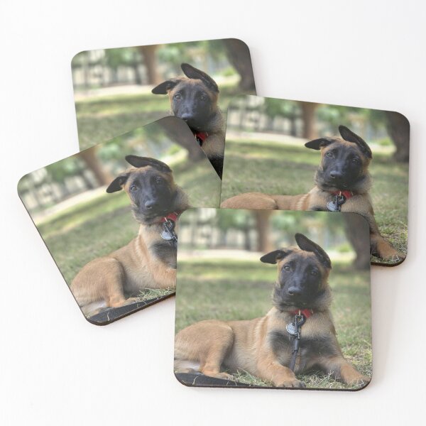 Aperçu de l'œuvre Portrait d'un chiot Malinois belge aux oreilles tombantes créée et vendue par VanGaldo.