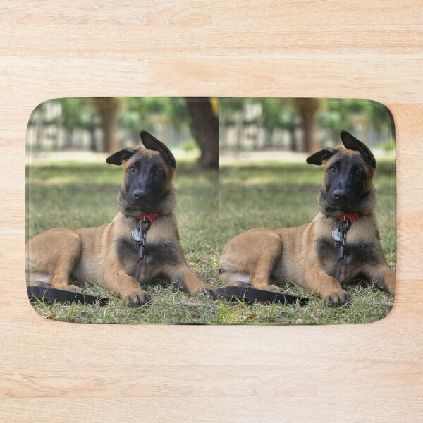 Item preview, Belgian Malinois Puppy Floppy Ears Portrait designed and sold by VanGaldo.