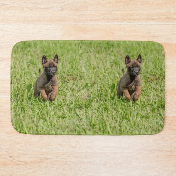 Item preview, Belgian Malinois Puppy Running In Grass designed and sold by VanGaldo.