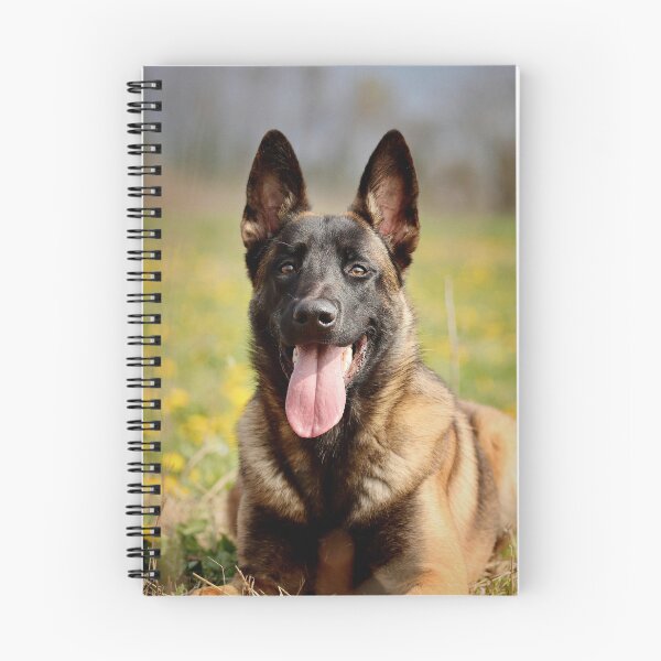 Item preview, Smiling Belgian Malinois In Yellow Flowers designed and sold by VanGaldo.