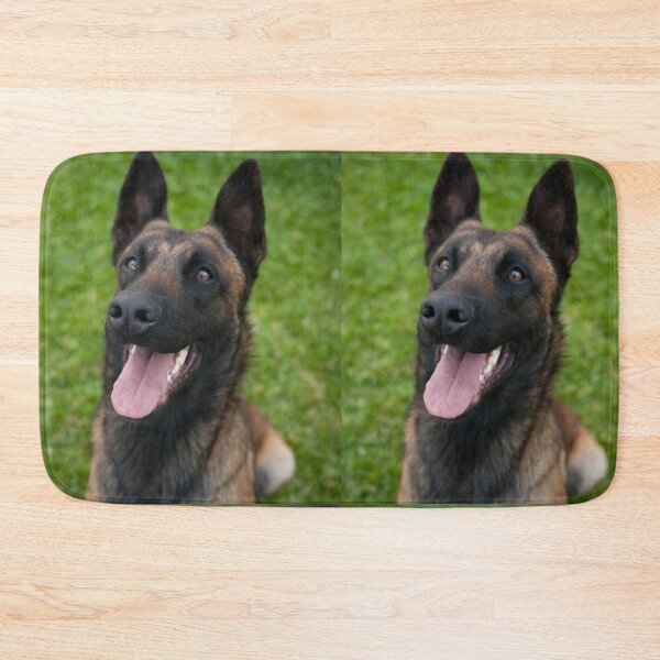 Item preview, Smiling Belgian Malinois Face Close Up designed and sold by VanGaldo.