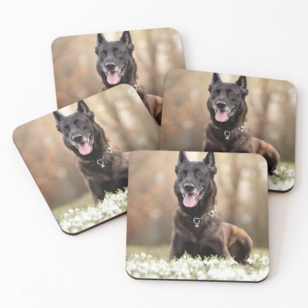 Aperçu de l'œuvre Malinois belge souriant dans des fleurs blanches créée et vendue par VanGaldo.