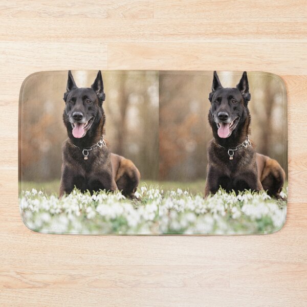 Item preview, Smiling Belgian Malinois In White Flowers designed and sold by VanGaldo.