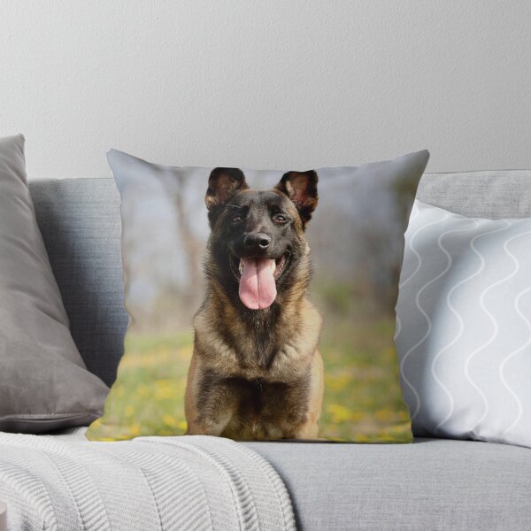 Item preview, Retrato de un pastor belga malinois feliz con la lengua fuera. designed and sold by VanGaldo.
