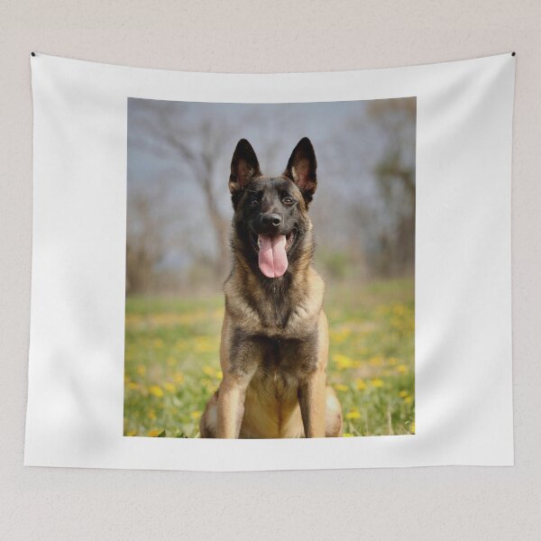 Item preview, Happy Belgian Malinois Tongue Out Portrait designed and sold by VanGaldo.