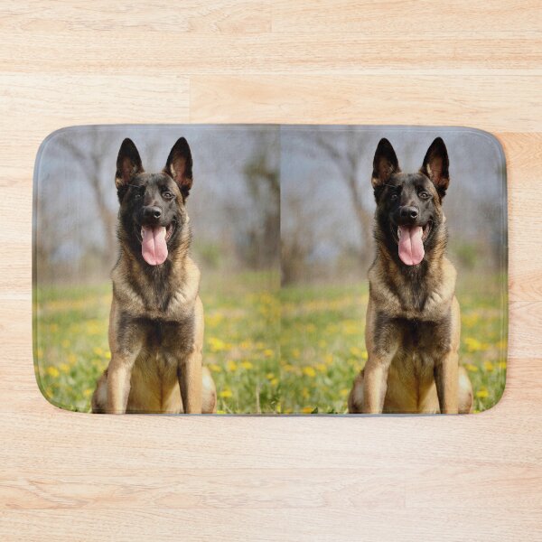 Item preview, Happy Belgian Malinois Tongue Out Portrait designed and sold by VanGaldo.