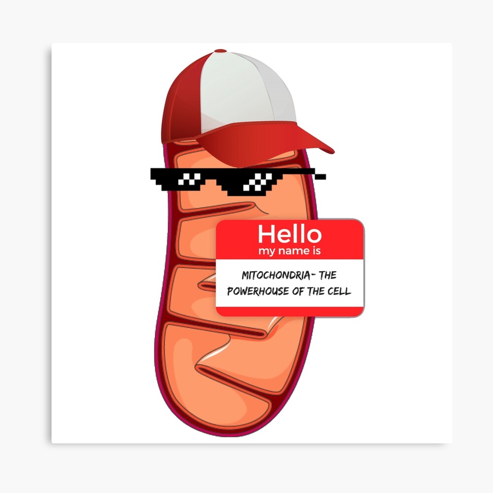 Meet Mitochondria Photographic Print By Smittenvisions Redbubble