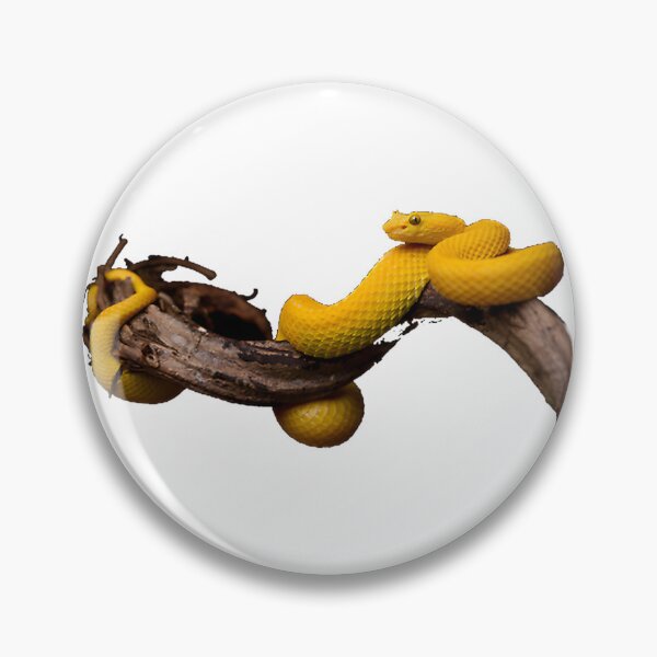 Item preview, Eyelash Viper Bothriechis Schlegelii Tropical Snake Nature Design designed and sold by winston213.