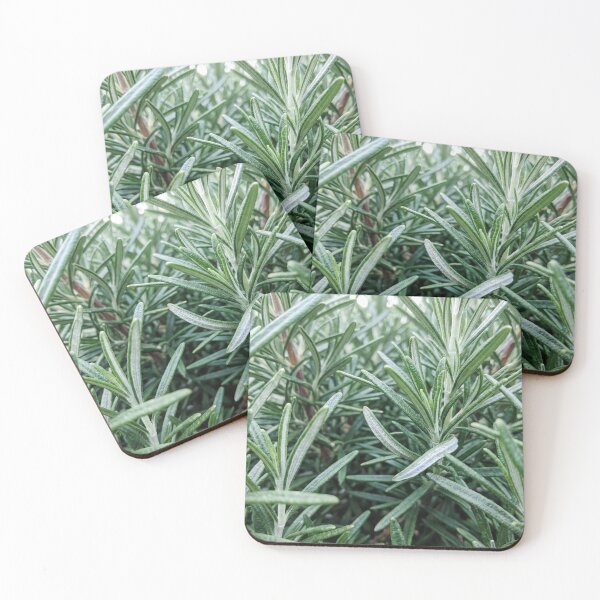 Item preview, Fresh Rosemary Needles from Inside the Bush designed and sold by ASSEMBLE WONDER.