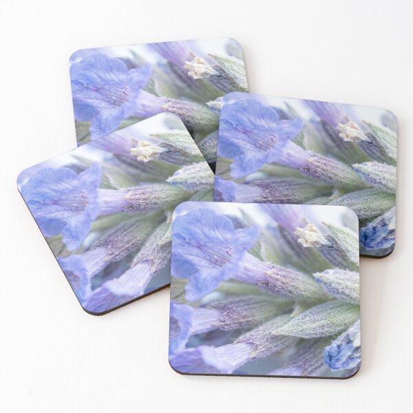 Item preview, Fresh Lavender Florets with Silvery Calyces designed and sold by ASSEMBLE WONDER.