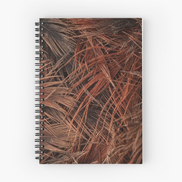 Item preview, Brown Feather Barbs That Look Soft Until You Notice designed and sold by ASSEMBLE WONDER.