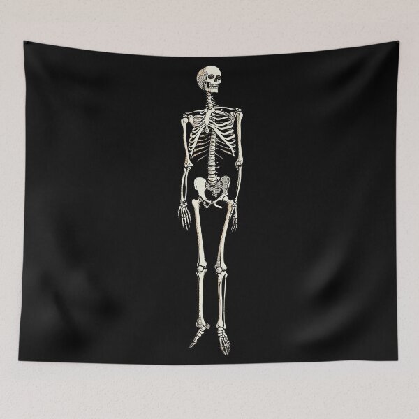Item preview, Human Skeleton Anatomy Pop Art Comic Drawing designed and sold by Terry Bain.