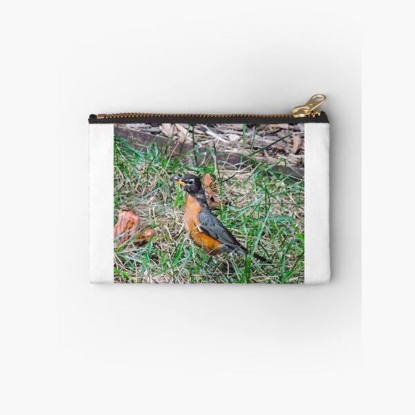 Item preview, Alert American Robin  designed and sold by Astute-Artio-Photography.
