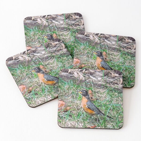 Item preview, Alert American Robin  designed and sold by Astute-Artio-Photography.