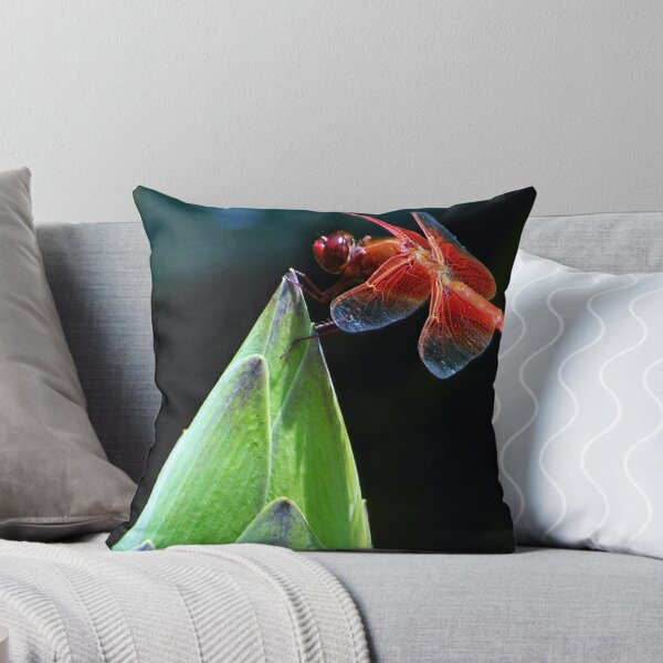 Item preview, Red Dragonfly on Lotus Bud — Huntington Library Koi Pond designed and sold by kornkobart.