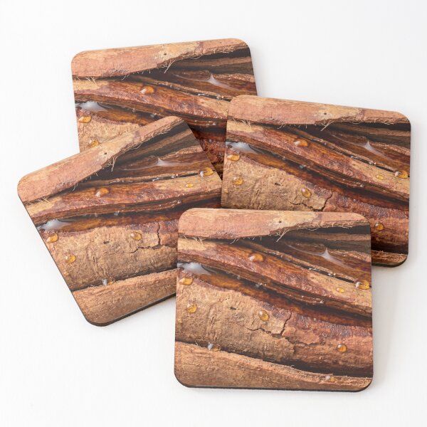 Item preview, Wet Cinnamon Bark with the Layers Opening Up designed and sold by ASSEMBLE WONDER.