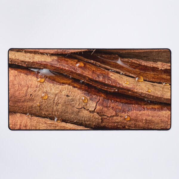 Item preview, Wet Cinnamon Bark with the Layers Opening Up designed and sold by ASSEMBLE WONDER.