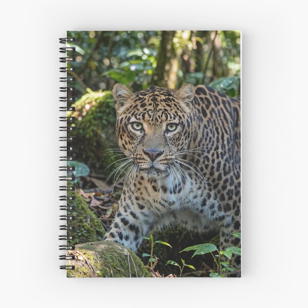 Item preview, Leopard in Lush Jungle designed and sold by Savannah Gibbs.