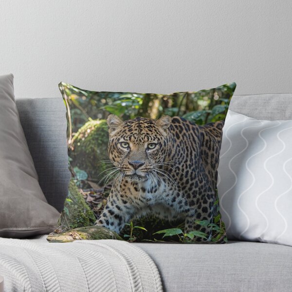Item preview, Leopard in Lush Jungle designed and sold by Savannah Gibbs.