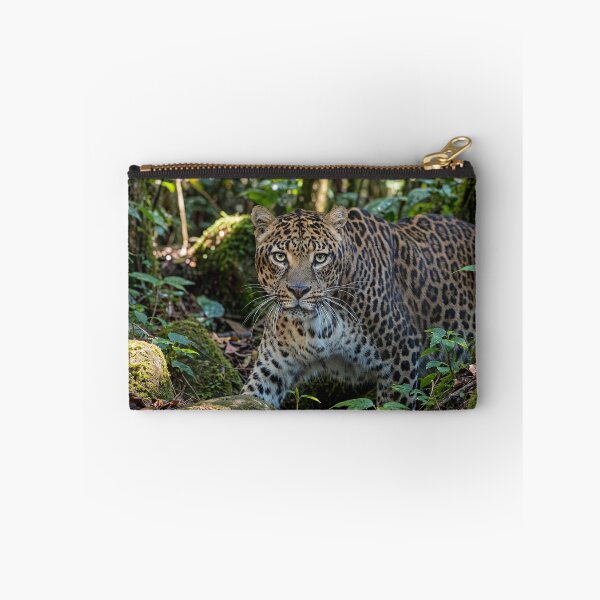 Item preview, Leopard in Lush Jungle designed and sold by Savannah Gibbs.