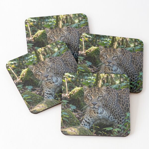Item preview, Leopard in Lush Jungle designed and sold by Savannah Gibbs.