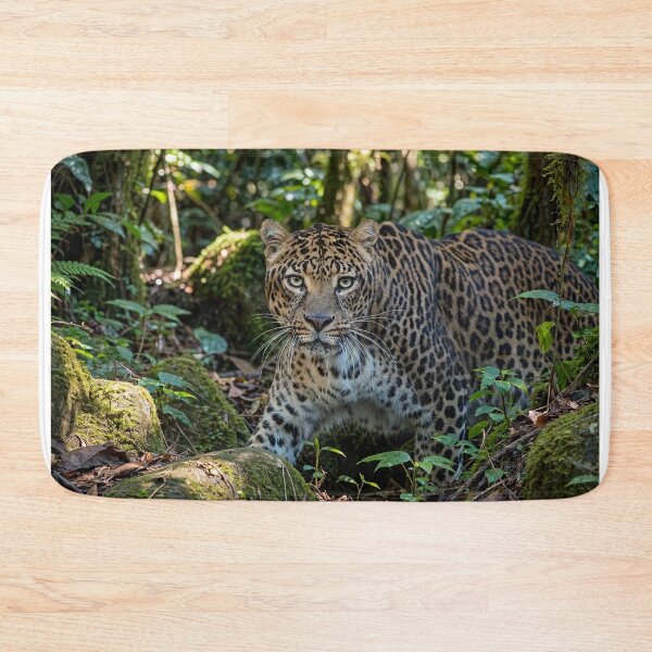 Item preview, Leopard in Lush Jungle designed and sold by Savannah Gibbs.