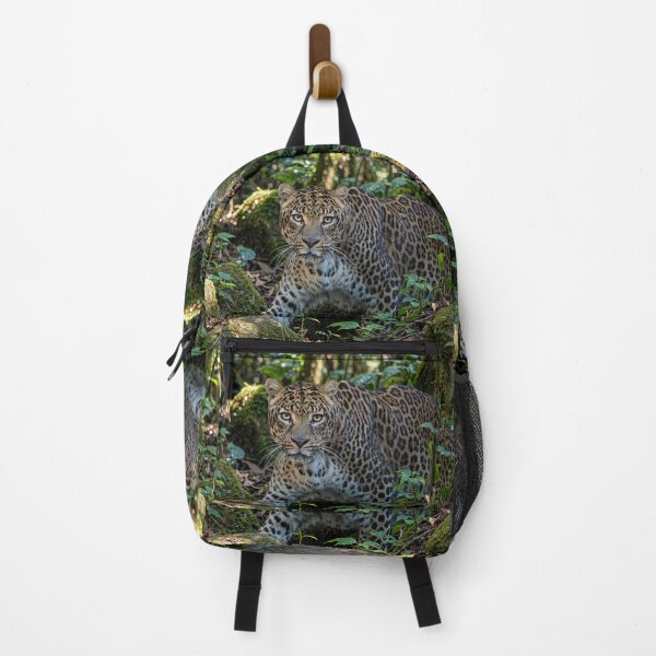Item preview, Leopard in Lush Jungle designed and sold by Savannah Gibbs.