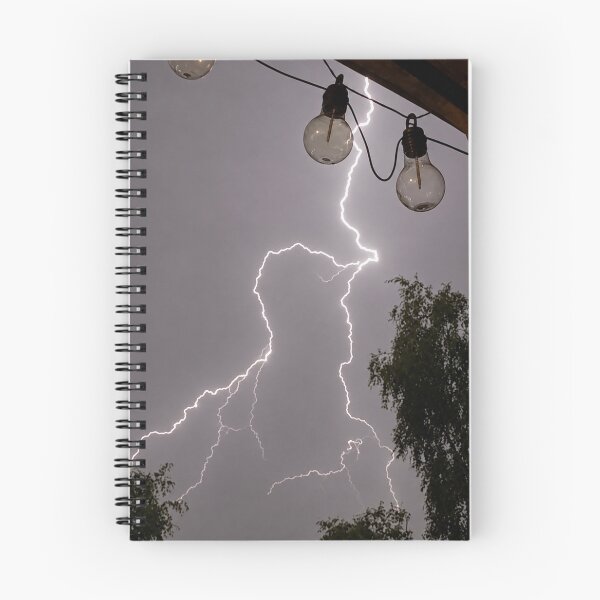 Item preview, Electric Serenade.  Lightning Strike Past Garden Lights designed and sold by Astute-Artio-Photography.