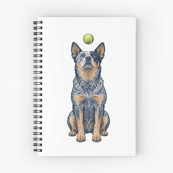 Artikelvorschau, Blue Heeler starrt einen Tennisball an entworfen und verkauft von eignvalue.